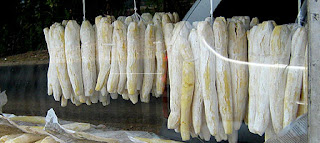 Oleh-Oleh Khas Tangkuban Perahu